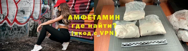 сатива Балахна
