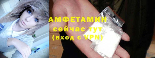 сатива Балахна