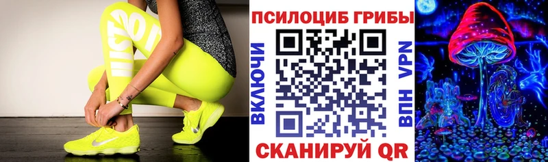 Псилоцибиновые грибы Psilocybe  Борисоглебск 